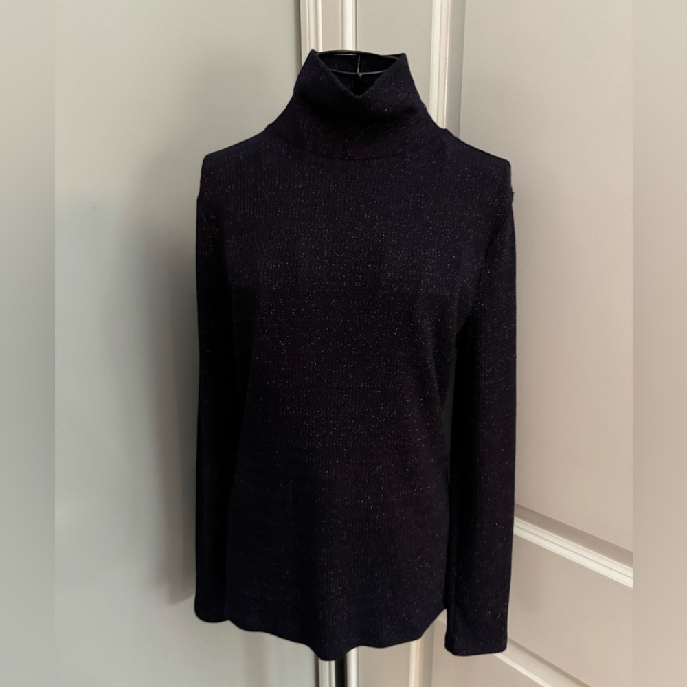 Ann Taylor Long Sleeve Turtleneck Top Size Medium